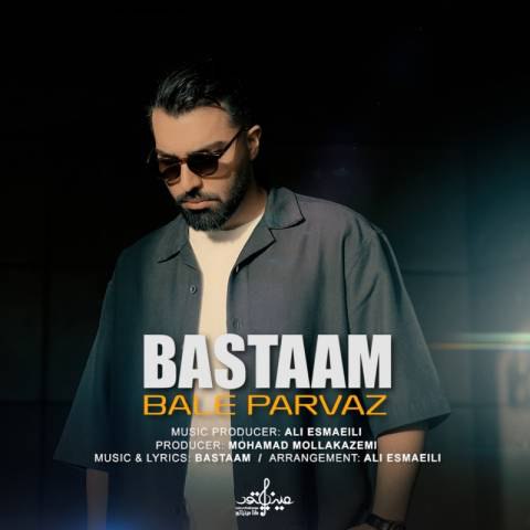 دانلود آهنگ بسطام به نام بال پرواز